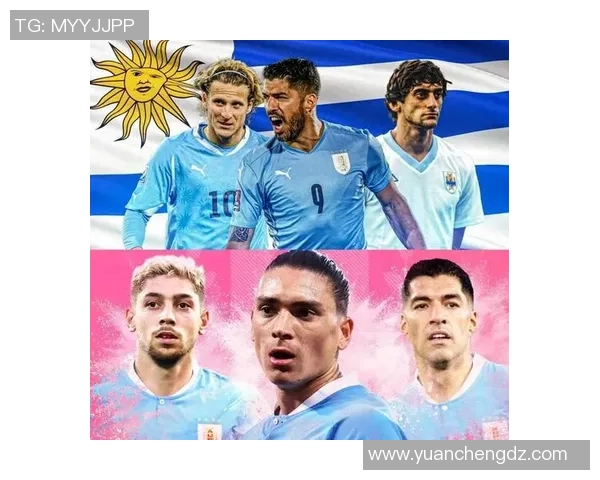 圣马力诺足球明星的崛起与挑战：小国大梦的追逐之路