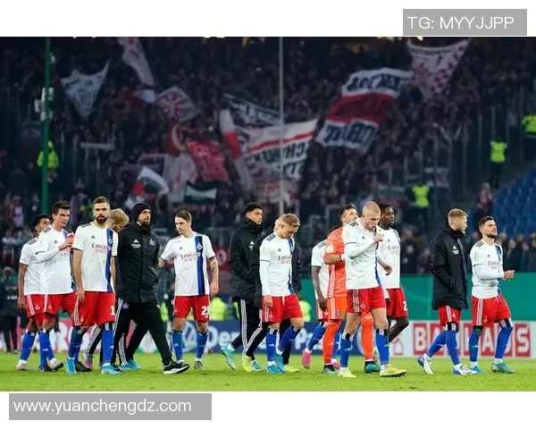 汉堡迎战桑得豪森期待精彩对决分析双方实力与战术布局 汉堡迎战桑得豪森期待精彩对决分析双方实力与战术布局