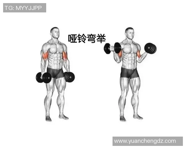 合理安排哑铃锻炼间隔时间提升训练效果与身体恢复的最佳策略