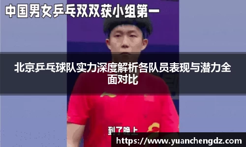 北京乒乓球队实力深度解析各队员表现与潜力全面对比