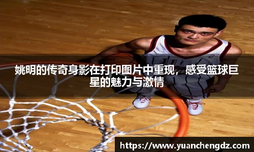姚明的传奇身影在打印图片中重现，感受篮球巨星的魅力与激情