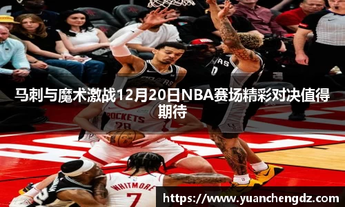 bsports官网
